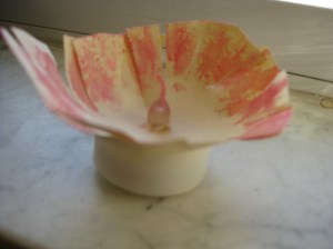 twice exceptional candle flame